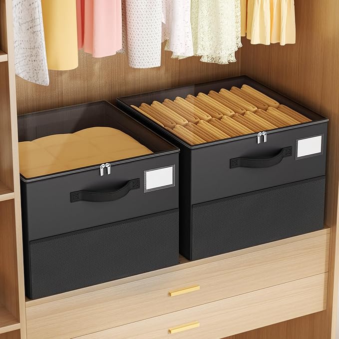 NestOrganix 2 Pack Shoe Organizer for Closet, Large Shoe Box Storage Containers, Foldable Shoe Storage Organizer Box Bin with