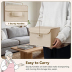 GRANNY SAYS Small Storage Bins with Lids, Small Storage Boxes, Shelf Baskets for Shelf, Collapsible Storage Bins for Living R