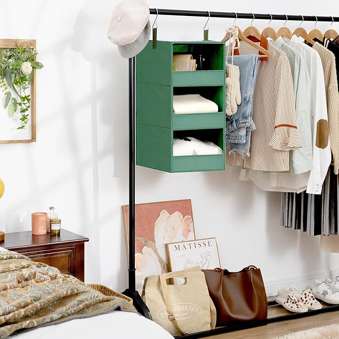 GRANNY SAYS 3-Shelf Closet Organizers and Storage, Foldable Hanging Closet Organizer, Hanging Closet Shelves with 2 Metal Hoo
