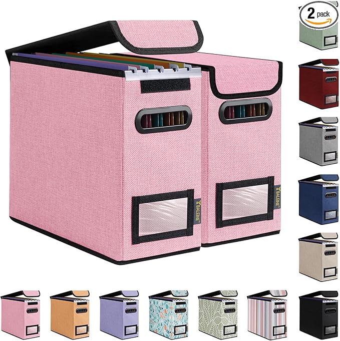 BALEINE File Organizer Box with Lid, Collapsible File Folder Organizer with Plastic Slide, Hanging File Folder Box for Office