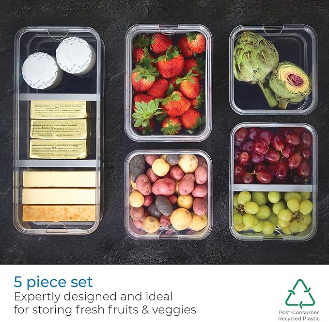 iDesign Crisp 5-Piece Recycled Plastic Refrigerator Organizer Bin Set with Lids, Clear/Gray
