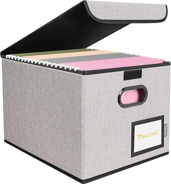 BALEINE File Organizer Box with Lid, Collapsible File Folder Organizer with Plastic Slide, Hanging File Folder Box for Office