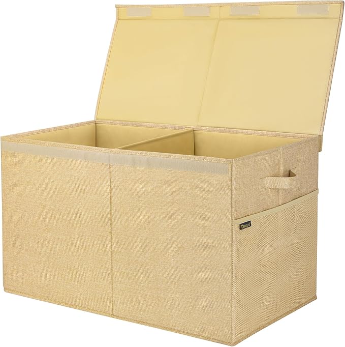 BALEINE Fabric Storage Bins with Lid, Collapsible Extra Large Storage Boxes Bins Baskets with Divider for Home Organizing (25