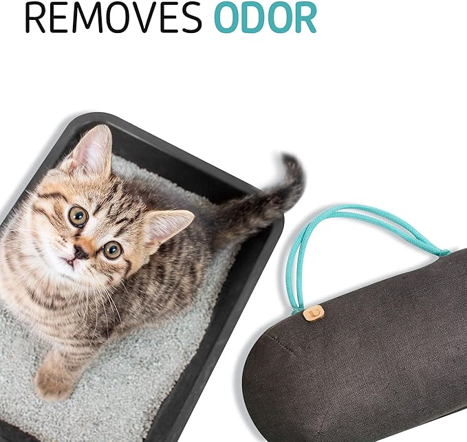 Car Air Freshener - Lasts 365+ Days - No Chemicals - 100% Activated Bamboo Charcoal - No Fragrance Deodorizer, Auto Odor Elim