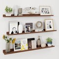 Axeman 48 Inch Floating Shelves | Walnut Picture Ledge Shelf Set of 3 | Rustic Wood Wall Shelves with Lip | 48" Walnut Pictur