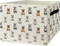 English Bulldog Gifts Storage Bins & Boxes with Handles, Dog Foldable Basket for Organizing Dog Lovers, English Bulldog Colla