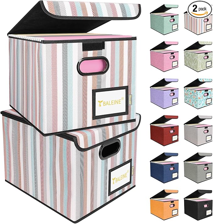 BALEINE File Organizer Box with Lid, Collapsible File Folder Organizer with Plastic Slide, Hanging File Folder Box for Office