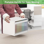 Hanging File Box Organizer for Letter Size, Bamboo Acrylic File Folder Storage with Lid Clear Moving Boxes Wooden with Handle