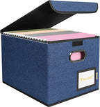 BALEINE File Organizer Box with Lid, Collapsible File Folder Organizer with Plastic Slide, Hanging File Folder Box for Office