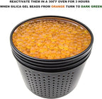 Gun Safe Dehumidifier 200g - Silica Gel Desiccant Canister, Moisture Absorber for Gun Cabinets & Safes, Protect 160 Cubic Fee