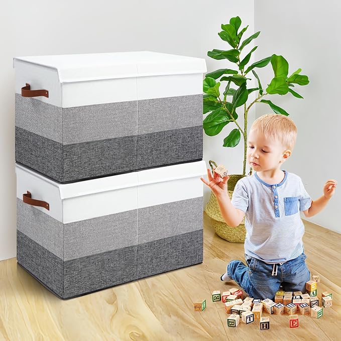 Mayniu Toy Box Storage Chest with Divider, Large Sturdy Toy Bin Organizer Basket with Lid for Kids, Boys, Girls, Nursery, Liv