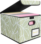 BALEINE File Organizer Box with Lid, Collapsible File Folder Organizer with Plastic Slide, Hanging File Folder Box for Office