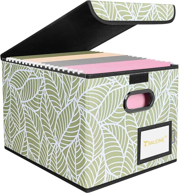 BALEINE File Organizer Box with Lid, Collapsible File Folder Organizer with Plastic Slide, Hanging File Folder Box for Office