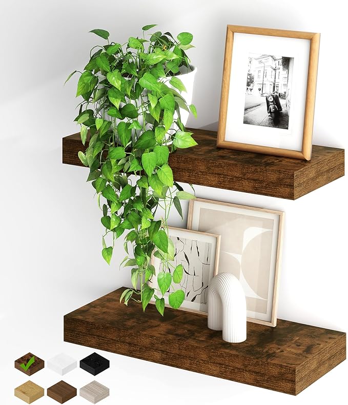 Fun Memories Floating Shelves for Wall, 20Inch Floating Shelves Set of 2, Hanging Shelf with Invisible Brackets, Wood Shelves
