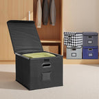 Hleelomi Collapsible File Box with Lid & Plastic Slide - Hanging Document Organizer for Office/Home, 14.96x12.6x10.83 Inch,De