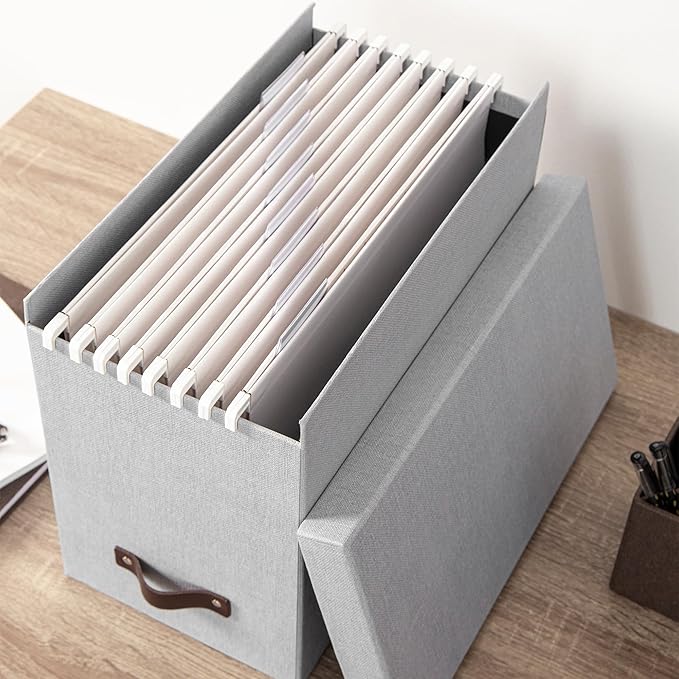 Bigso Box of Sweden File Organiser Storage - Stylish Organiser Box Including 8 Hanging Files - Container for Folders Made of 