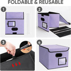 BALEINE File Organizer Box with Lid, Collapsible File Folder Organizer with Plastic Slide, Hanging File Folder Box for Office