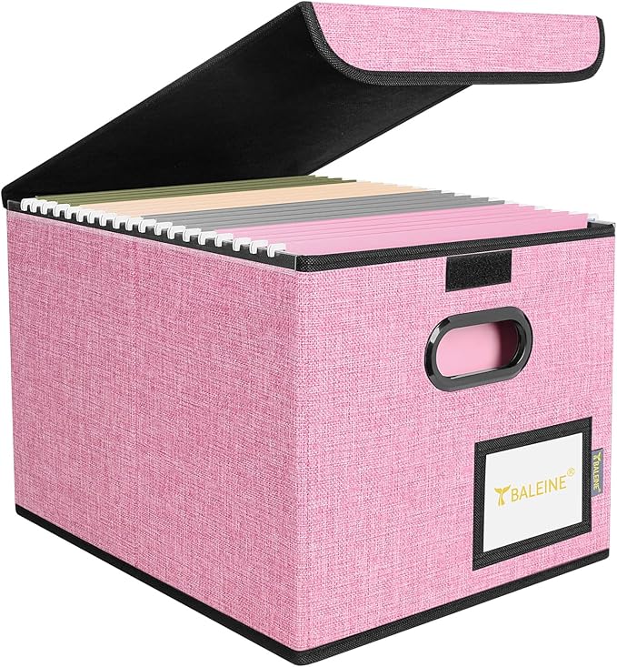 BALEINE File Organizer Box with Lid, Collapsible File Folder Organizer with Plastic Slide, Hanging File Folder Box for Office