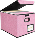 BALEINE File Organizer Box with Lid, Collapsible File Folder Organizer with Plastic Slide, Hanging File Folder Box for Office