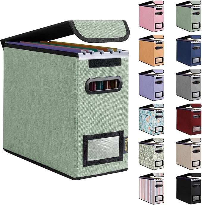 BALEINE File Organizer Box with Lid, Collapsible File Folder Organizer with Plastic Slide, Hanging File Folder Box for Office