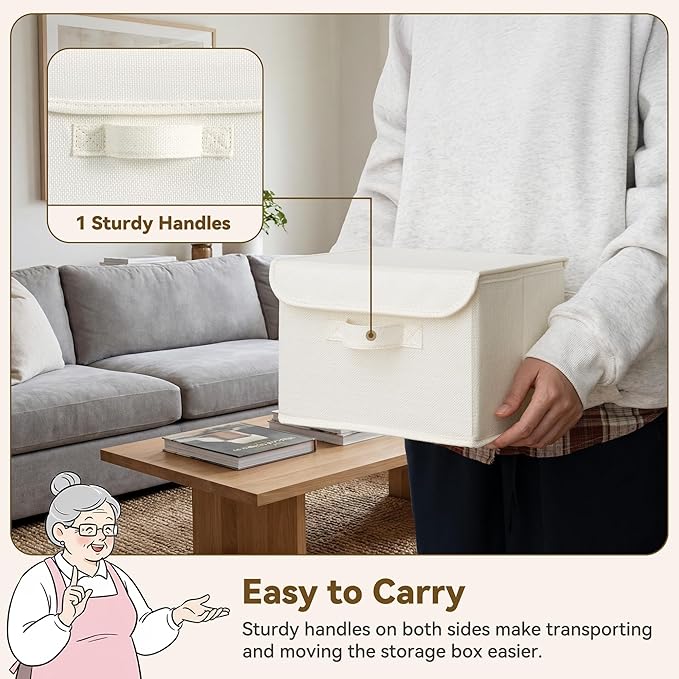 GRANNY SAYS Small Storage Bins with Lids, Small Storage Boxes, Shelf Baskets for Shelf, Collapsible Storage Bins for Living R