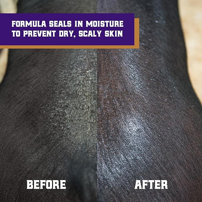 Weaver Leather Livestock Swine Conditioner and Shine