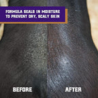 Weaver Leather Livestock Swine Conditioner and Shine
