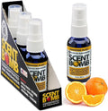 Scent Bomb Air Freshener Spray, Long-Lasting Odor Eliminator - Effective Deodorizer for Home & Car, Fresh Room Spray for Kitc