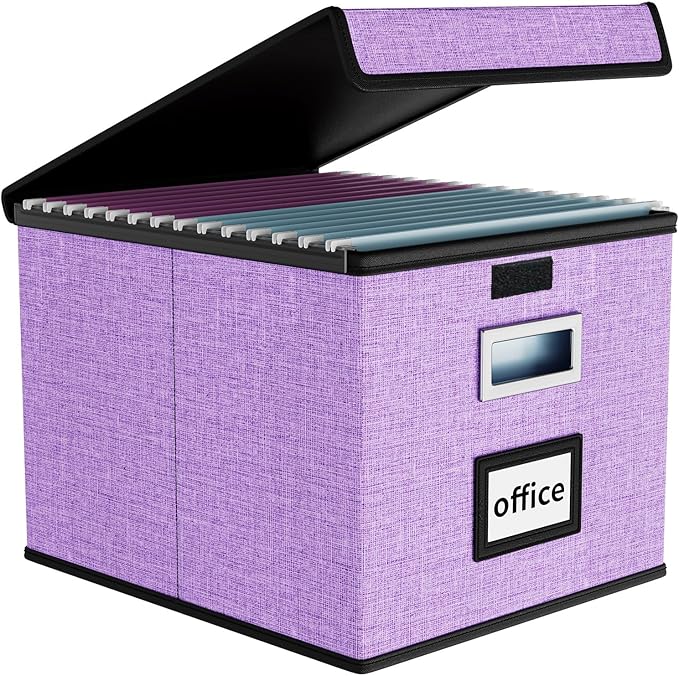 Huolewa File Organizer Box with Lid, Collapsible File Folder Organizer for Office Document Storage, Filing Box with Plastic S