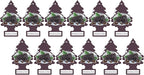 Little Trees Blackberry Clove Air Fresheners 12 Pack