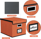 Huolewa File Organizer Box with Lid, Collapsible File Folder Organizer for Office Document Storage, Filing Box with Plastic S