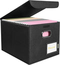 BALEINE File Organizer Box with Lid, Collapsible File Folder Organizer with Plastic Slide, Hanging File Folder Box for Office