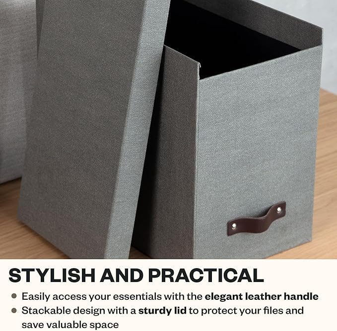 Bigso John Desktop File Box - Storage Solution and Document Organizer for Important Paperwork - Durable Hanging File Box with