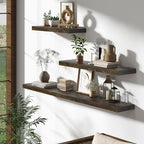 Dreamland 24 Inch Floating Shelves, Rustic Elm Wood Wall Shelf for Home Decor, 8 Inch Deep Floating Shelf for Wall, 24 x 8 Ba