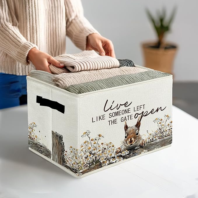 Rustic Squirrel Storage Bins & Boxes with Handles, Farmhouse Squirrel Foldable Basket for Organizing, Live Like Someone Left 