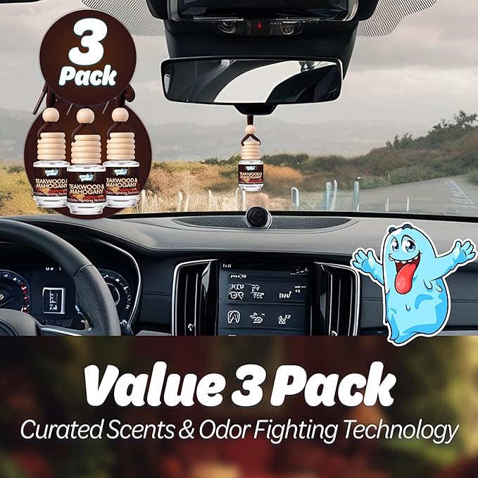 Hanging Air Freshener Car Diffusers - Long Lasting Scent, Odor Eliminator, Home Essentials, Fresh car fragrance diffuser - 3 