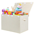Mayniu Kids Toy Storage Box Chest with Lid, Sturdy Toy Bin Organizer for Kids, Girls, Boys, Living Room, Nursery, Bedroom, Pl