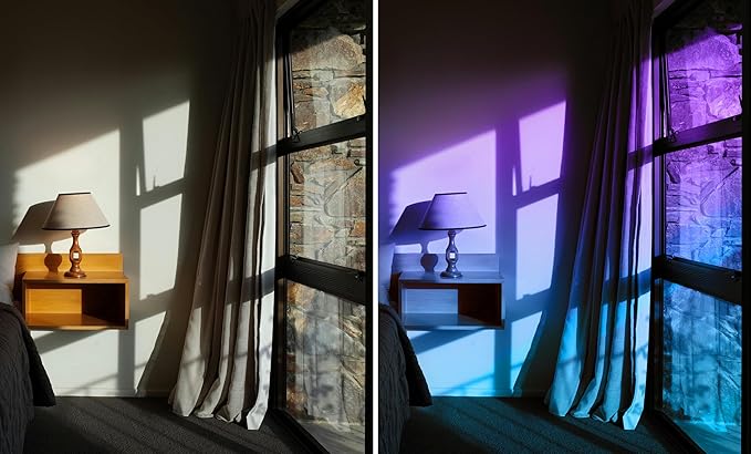 VViViD Transparent Colorful Vinyl Window Tinting Sheets (30” x 5ft 2 Pack, Chameleon)