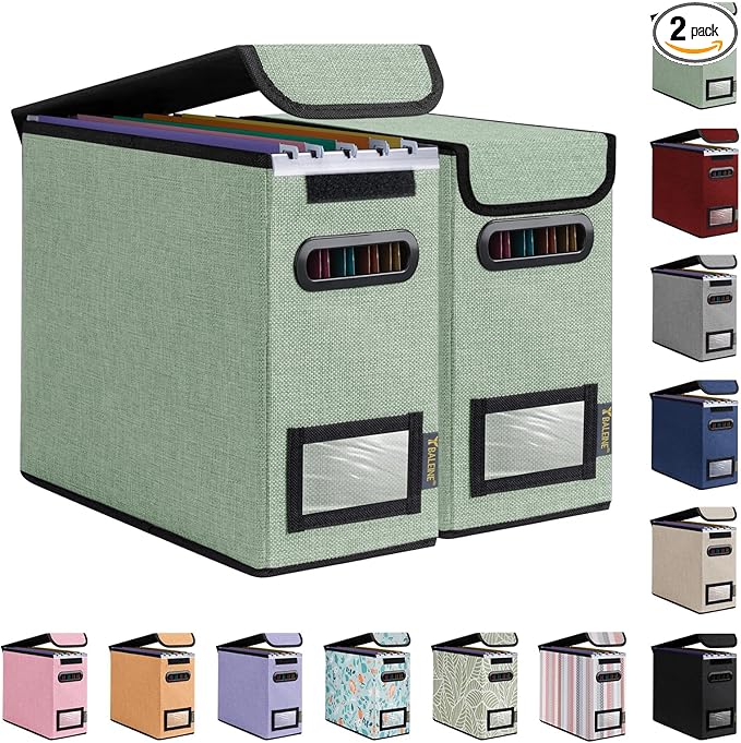 BALEINE File Organizer Box with Lid, Collapsible File Folder Organizer with Plastic Slide, Hanging File Folder Box for Office