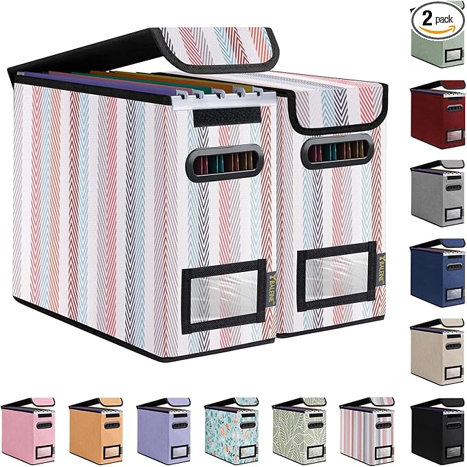 BALEINE File Organizer Box with Lid, Collapsible File Folder Organizer with Plastic Slide, Hanging File Folder Box for Office