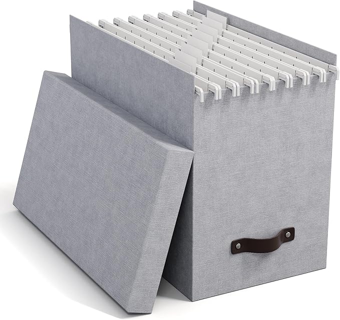 Bigso Box of Sweden File Organiser Storage - Stylish Organiser Box Including 8 Hanging Files - Container for Folders Made of 