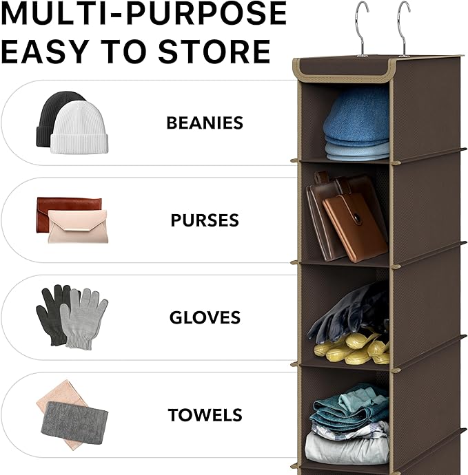 Simple Houseware 10 Shelves Hanging Shoes Organizer Holder for Closet, Brown