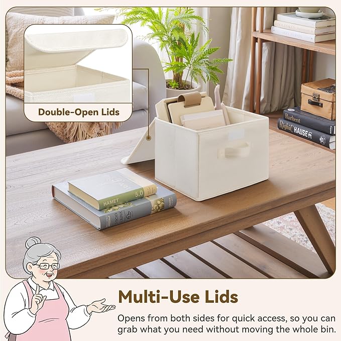 GRANNY SAYS Small Storage Bins with Lids, Small Storage Boxes, Shelf Baskets for Shelf, Collapsible Storage Bins for Living R