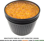 Gun Safe Dehumidifier 200g - Silica Gel Desiccant Canister, Moisture Absorber for Gun Cabinets & Safes, Protect 27 Cubic Feet
