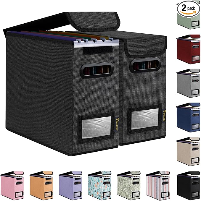 BALEINE File Organizer Box with Lid, Collapsible File Folder Organizer with Plastic Slide, Hanging File Folder Box for Office