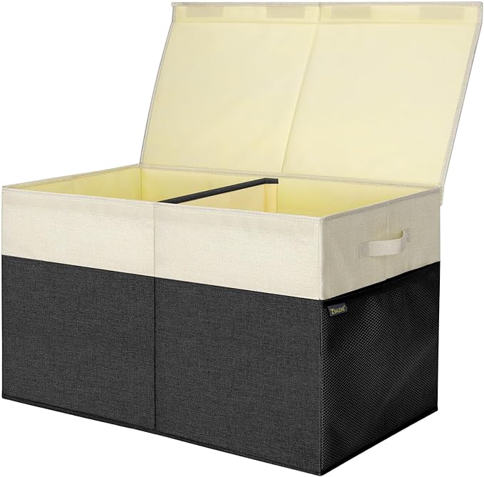 BALEINE Fabric Storage Bins with Lid, Collapsible Extra Large Storage Boxes Bins Baskets with Divider for Home Organizing (25
