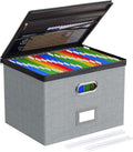 Oterri 1 Pack Large File Organizer Boxes with Lids, File Box with Mesh Pockets, Document Organizer Box for Letter/Legal Size 