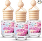 Hanging Air Freshener Car Diffusers - Long Lasting Scent, Odor Eliminator, Home Essentials, Fresh car fragrance diffuser - 3 