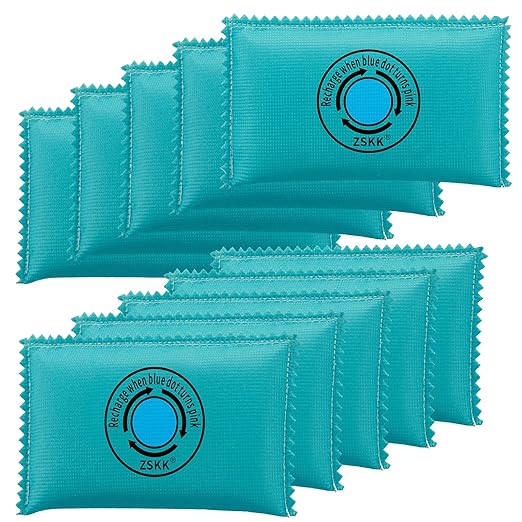 100g Rechargeable Desiccant Pack of 10,Silica Gel Desiccant Packets,Moisture Absorbers for Storage Bins, Suitcase, Gun Safe,