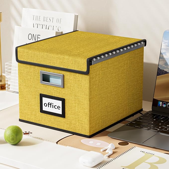 Huolewa File Organizer Box with Lid, Collapsible File Folder Organizer for Office Document Storage, Filing Box with Plastic S